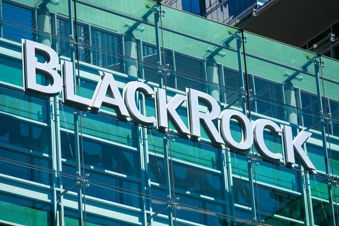 BlackRock Teams Up With Coinbase In Crypto Market Push