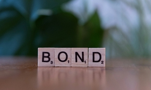 Riding with the Bond Vigilantes: How Investors Are Reacting to Rising Deficits and Volatility